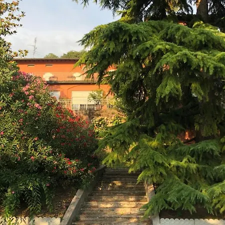 House And Garden